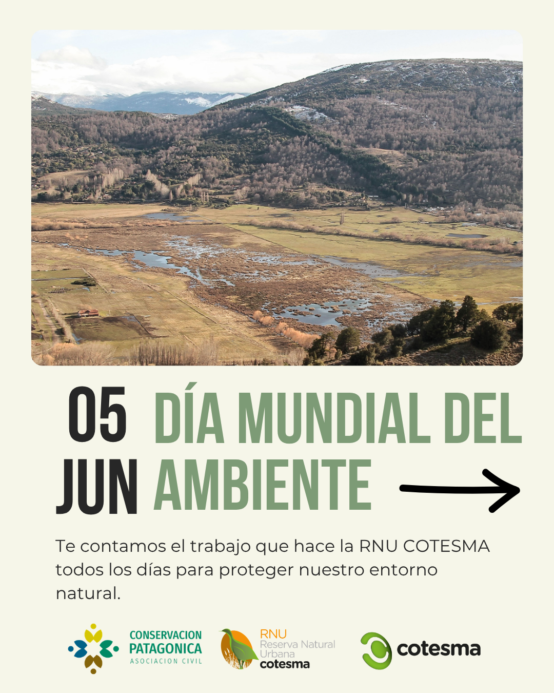 Día Mundial del Ambiente