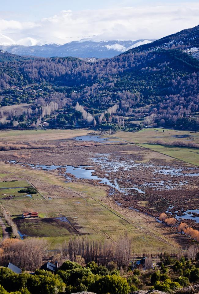 11218959_812289772217184_7089507869301485455_n