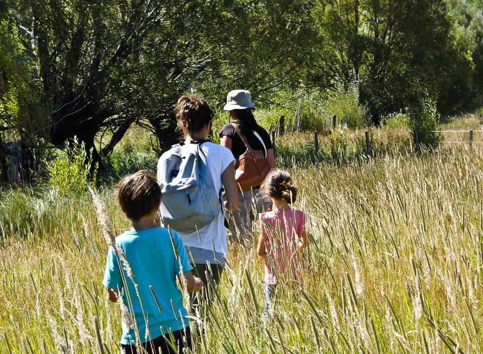 11822366_800531346726360_9077171966600438566_n