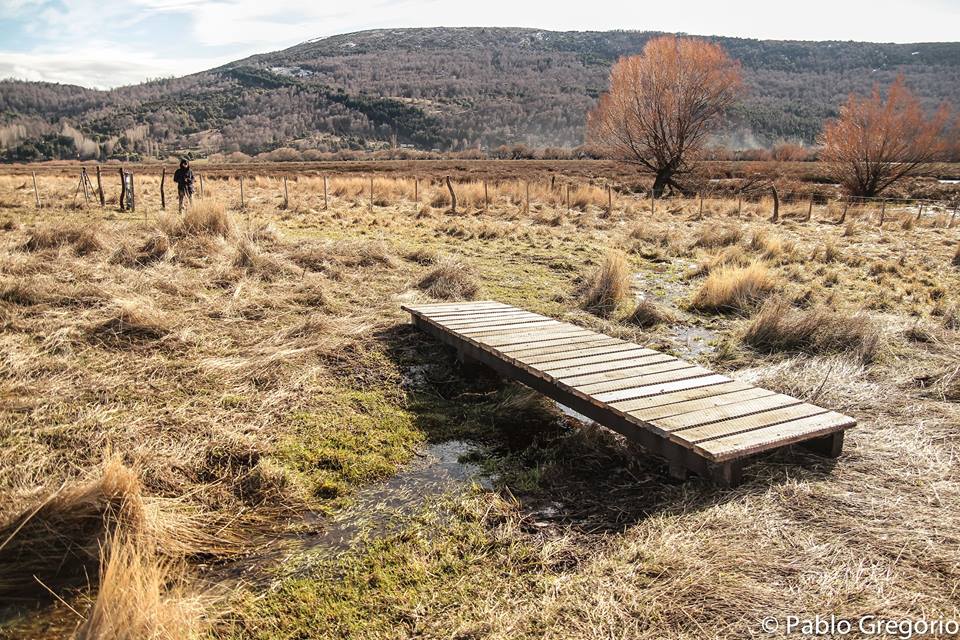 11863261_803322356447259_5262711702393399881_n