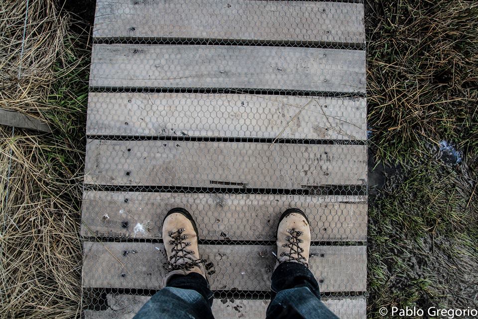 11891151_803322286447266_344661705708962692_n