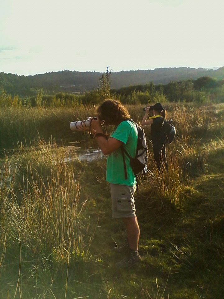 12512380_914433292002831_8558989407535000735_n