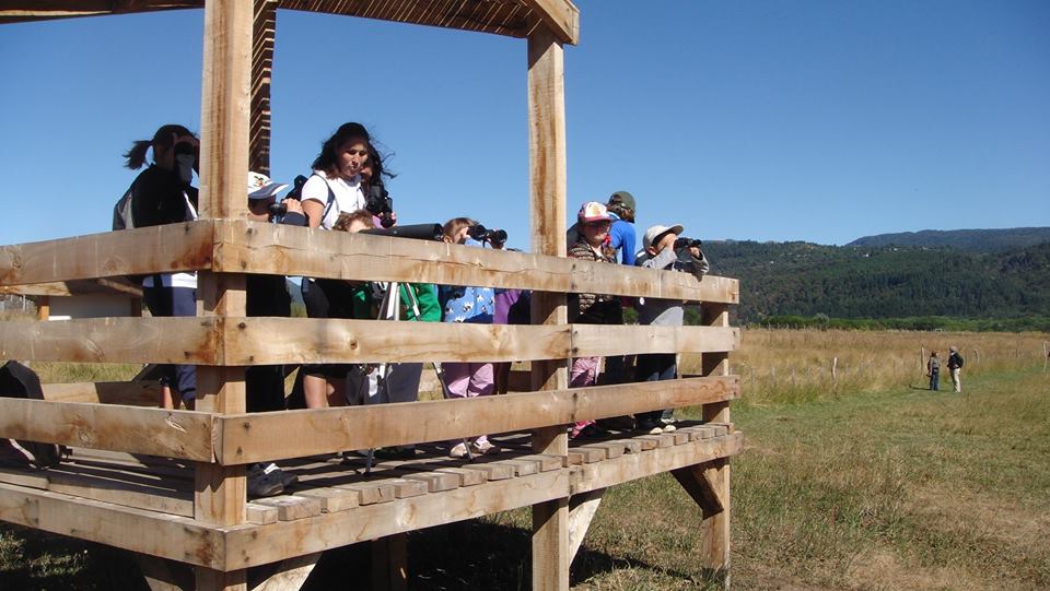 12717211_889419861170841_4016875595729675657_n