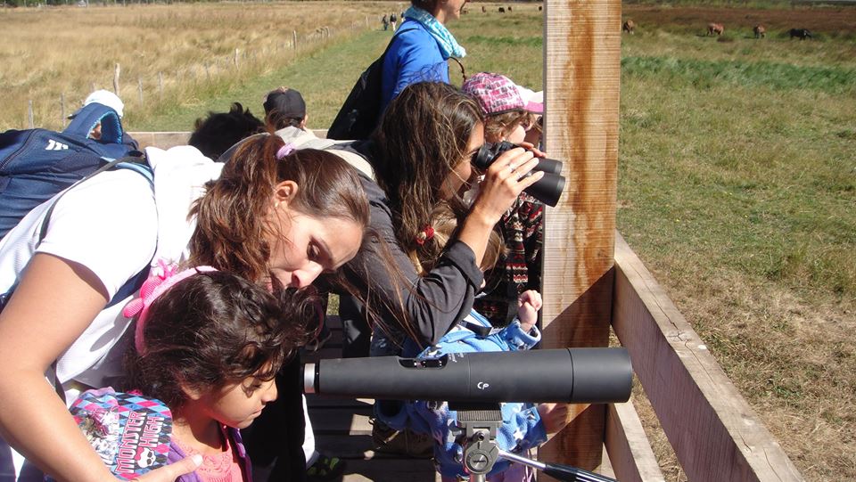 12718354_889419737837520_3401535608075076096_n