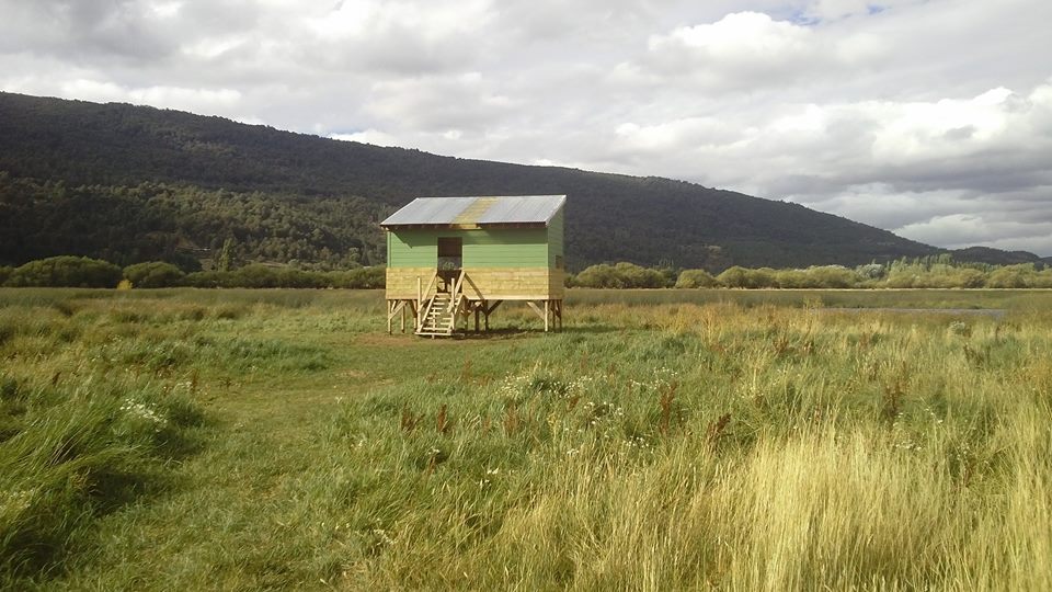 12799049_894407074005453_6577970661831264671_n