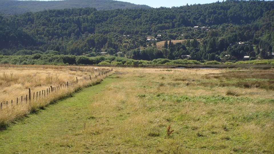 12799076_894407107338783_2544445087112079386_n