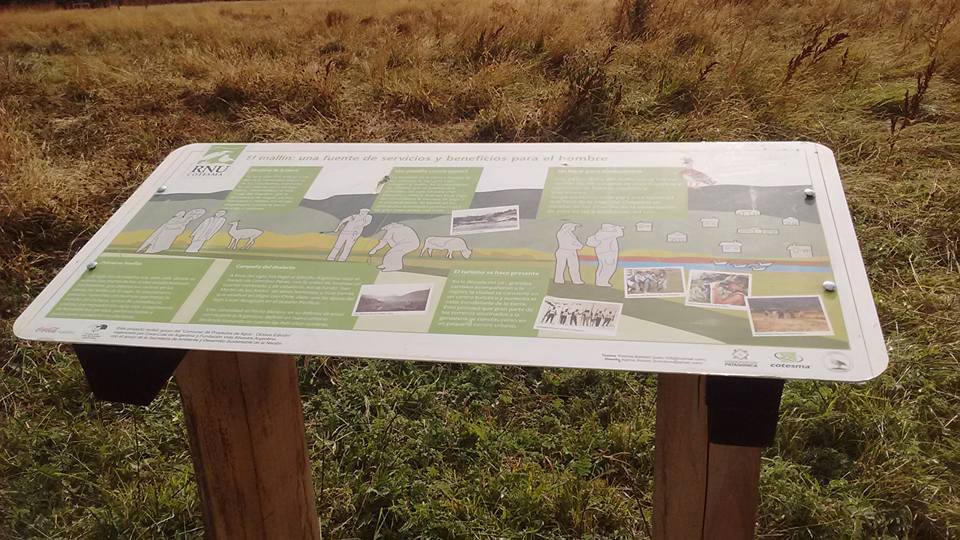 12801660_900849176694576_4744068027320022827_n