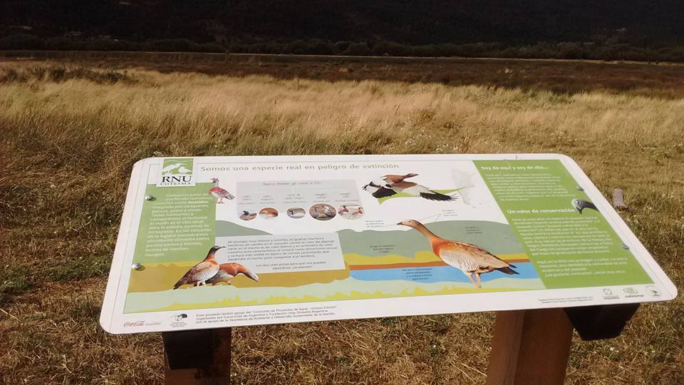 12804728_900849173361243_8486727523928247100_n