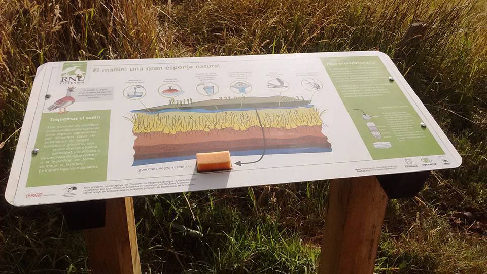 12804848_900849210027906_3223279629967990938_n