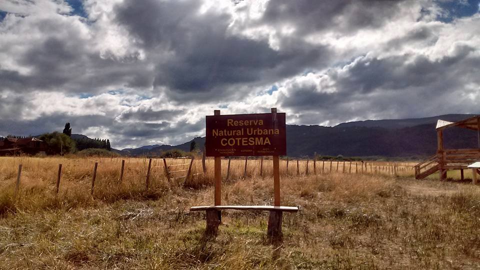 12805981_900849220027905_3160579660655125564_n