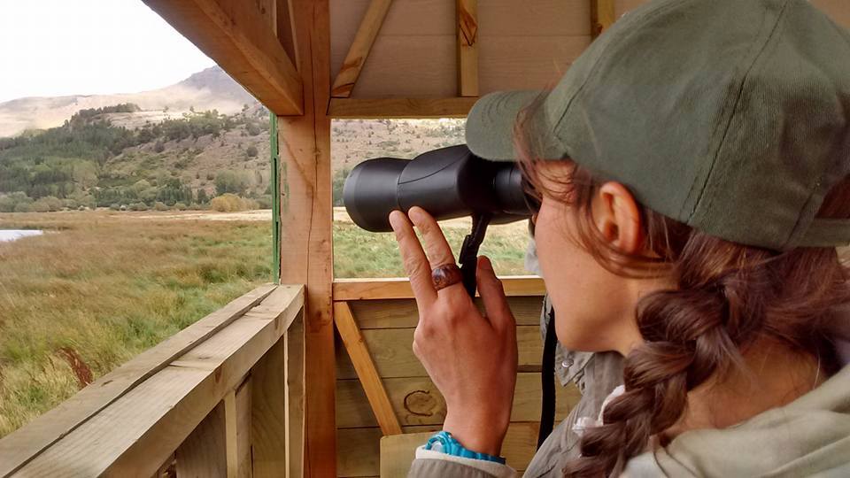 12814797_900849203361240_149252350223985687_n