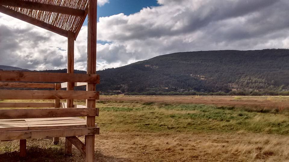 12832568_900849263361234_1987092086521783693_n