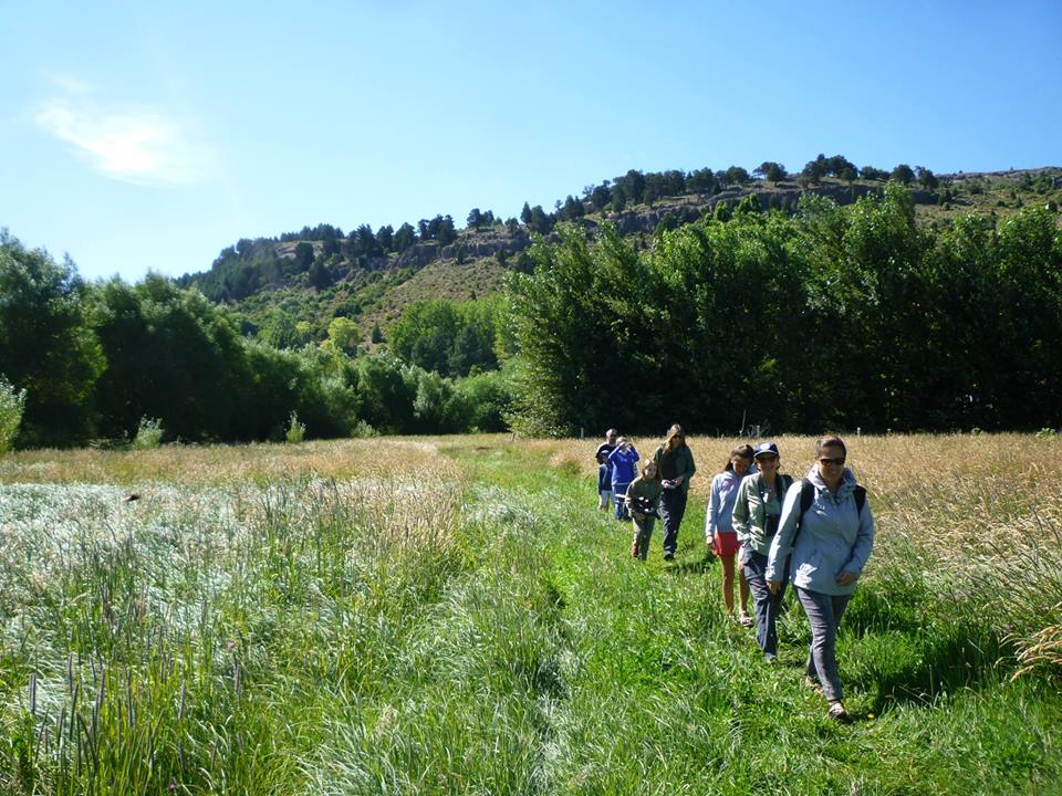 13095833_932943706818456_7371924748215384986_n