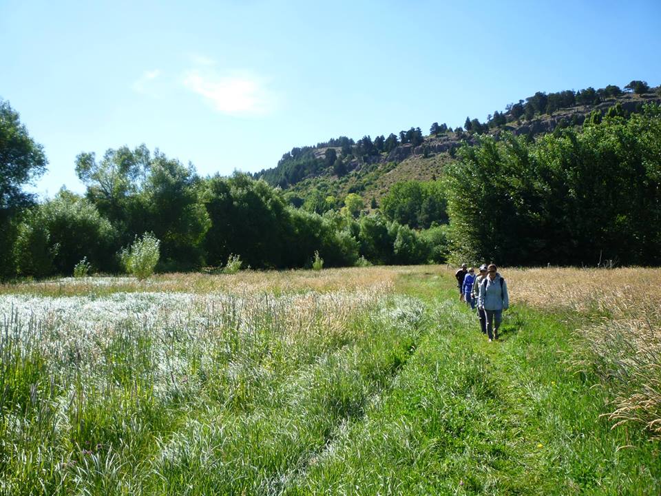 13103372_932943666818460_3370503774568852250_n