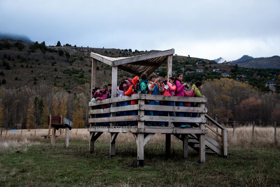 13165984_939502599495900_2421829950232929462_n