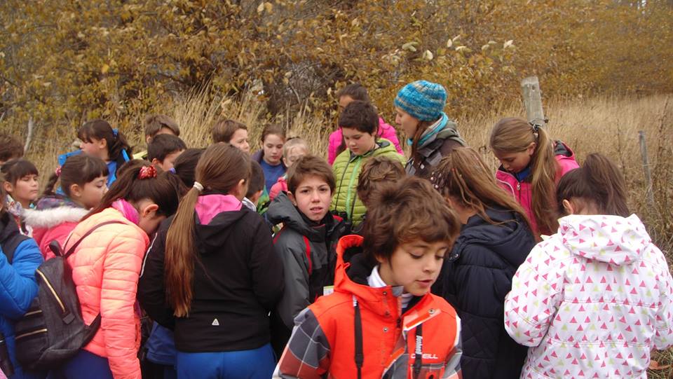 13179274_939501976162629_3673136777863777476_n