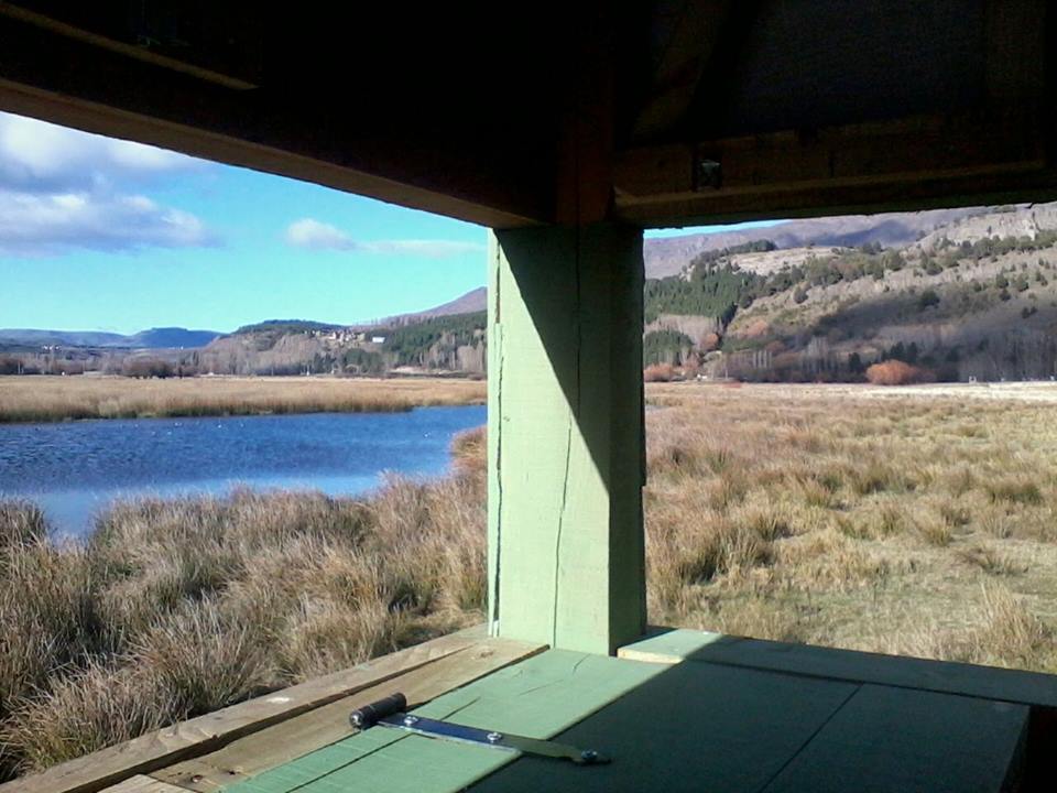 13413596_960660927380067_5390138177085333174_n