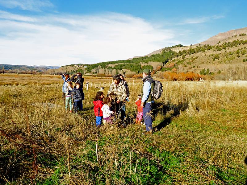 13423710_960661234046703_919955783009248034_n