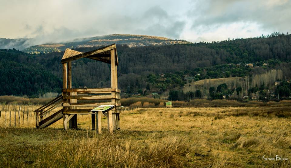 13600232_977290805717079_3777844644843462707_n