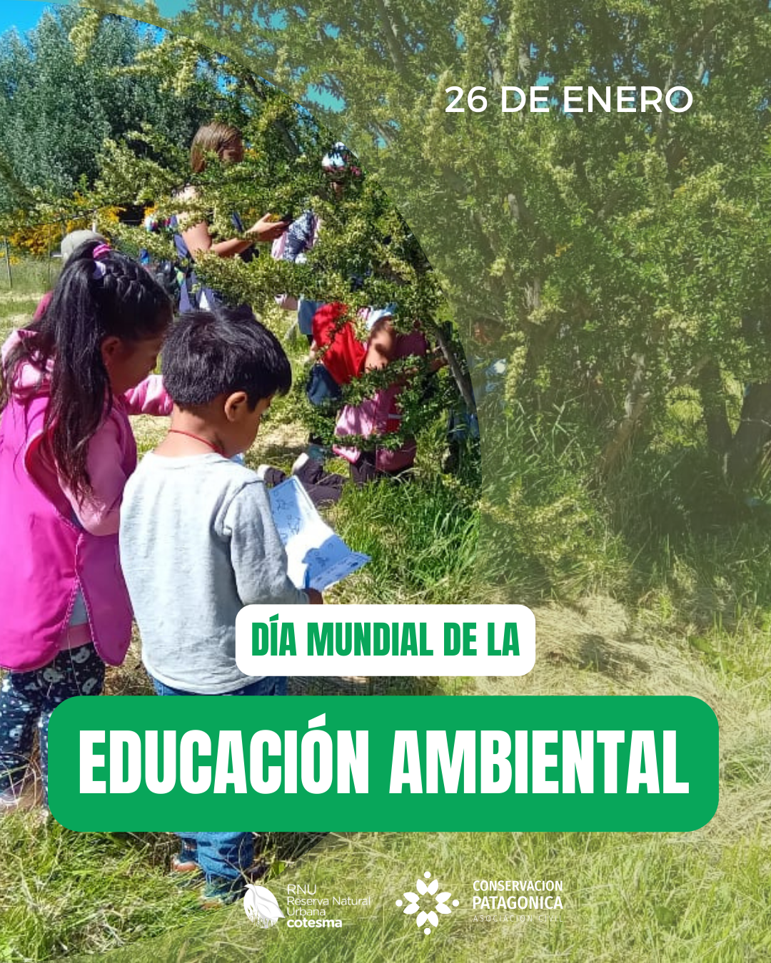 Día Mundial de la Educación Ambiental Día Mundial de la Educación Ambiental