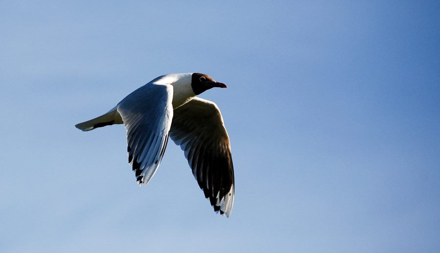 944964_869273503185477_359494086845534752_n