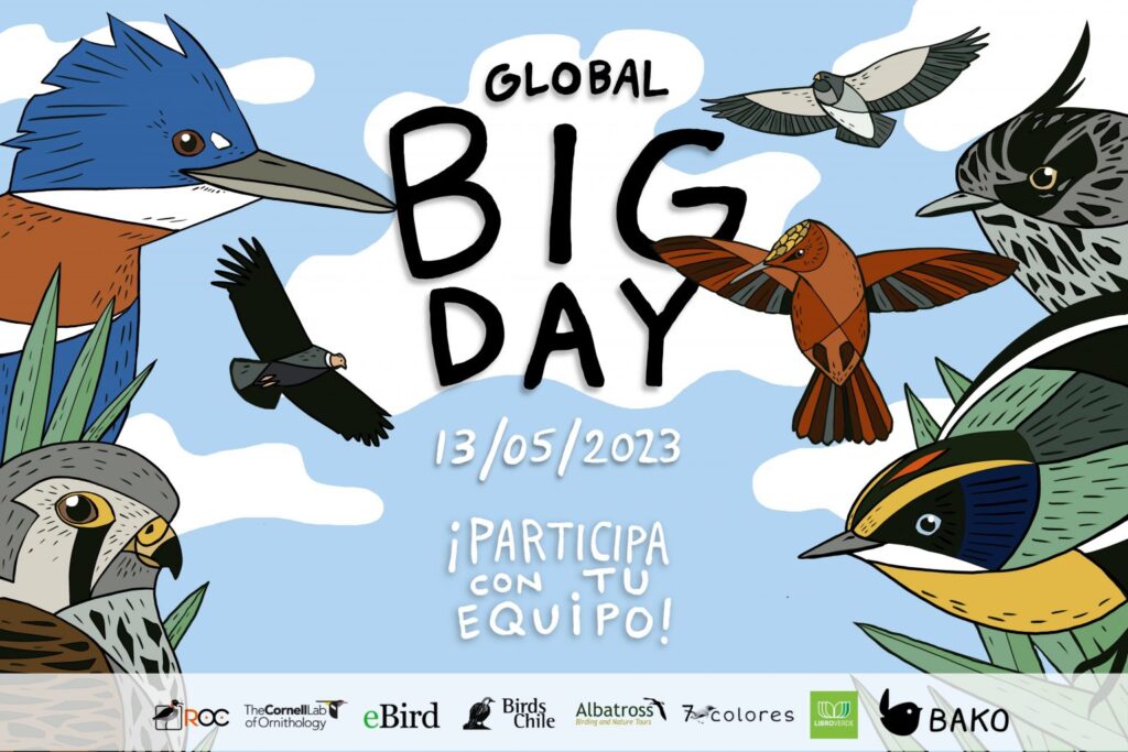 ¡Te invitamos a disfrutar de un nuevo #GlobalBigDay en la #rnucotesma!