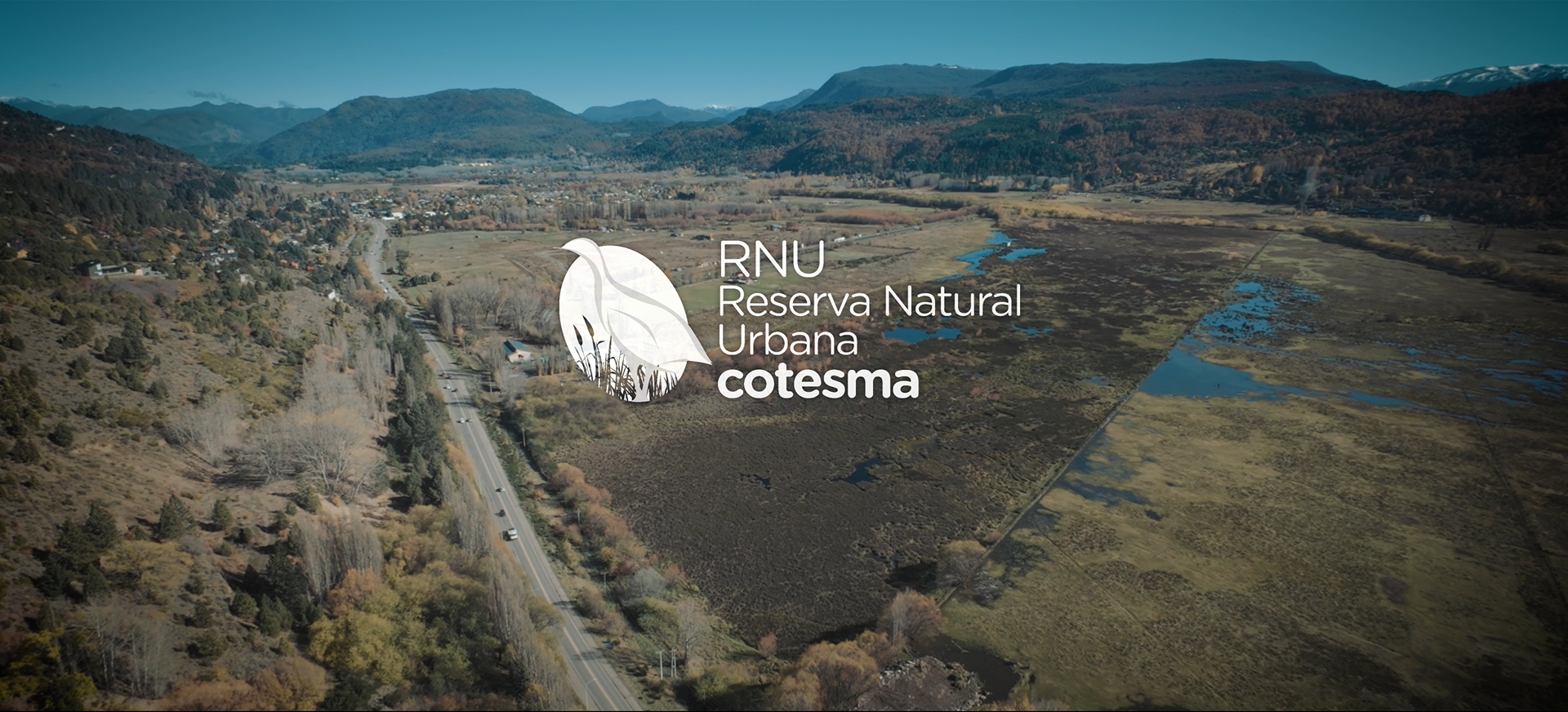 Día Mundial del Ambiente