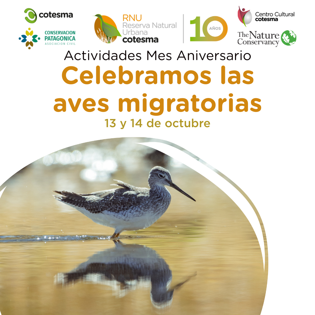 Celebramos el Día Mundial de las Aves Migratorias