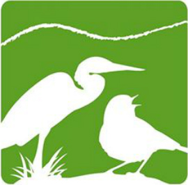 rnu_logoimagen-228x225