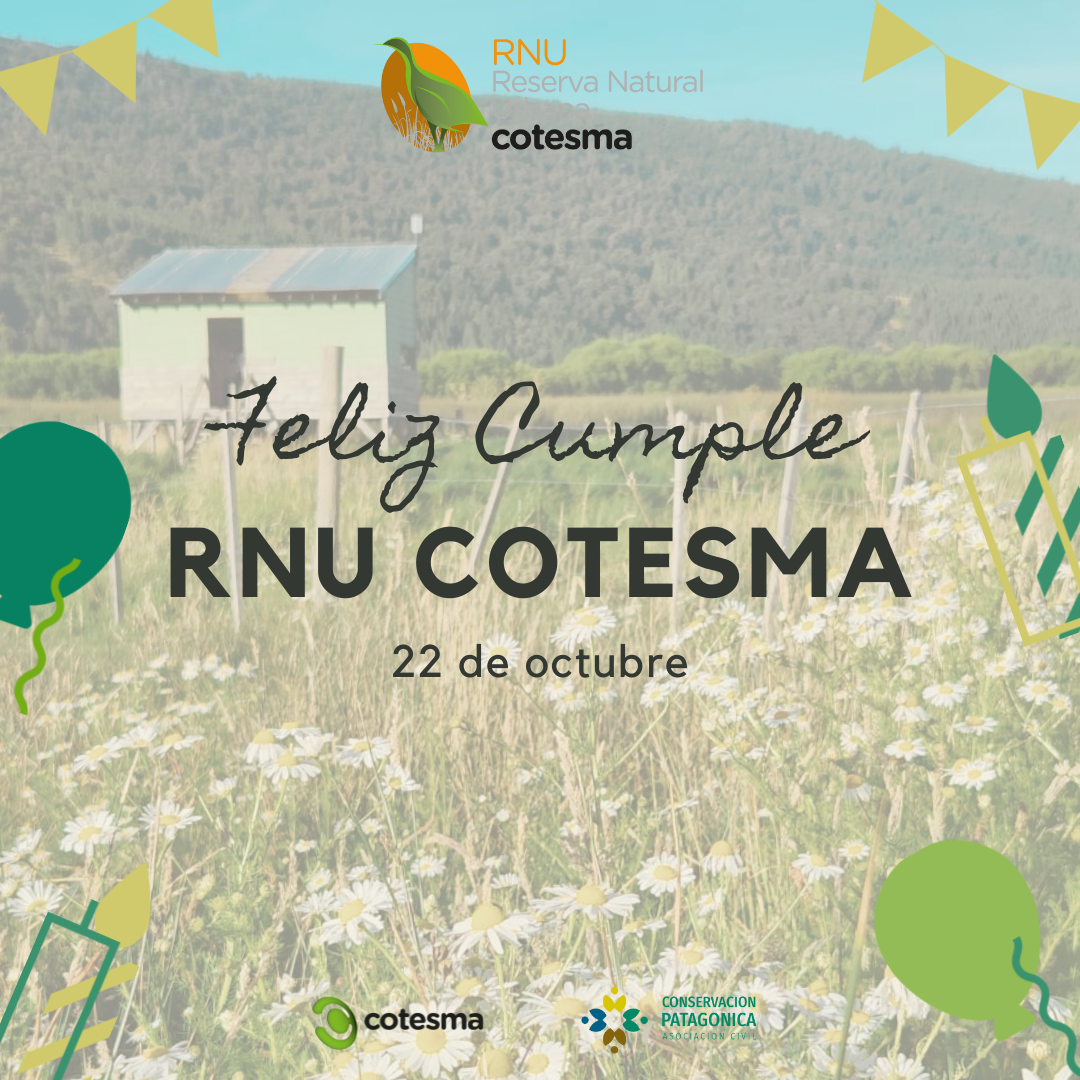 FELIZ ANIVERSARIO RNU COTESMA