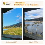 #DíaMundialDeLosHumedales 💧🌾