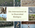 Día Internacional de la Diversidad Biológica