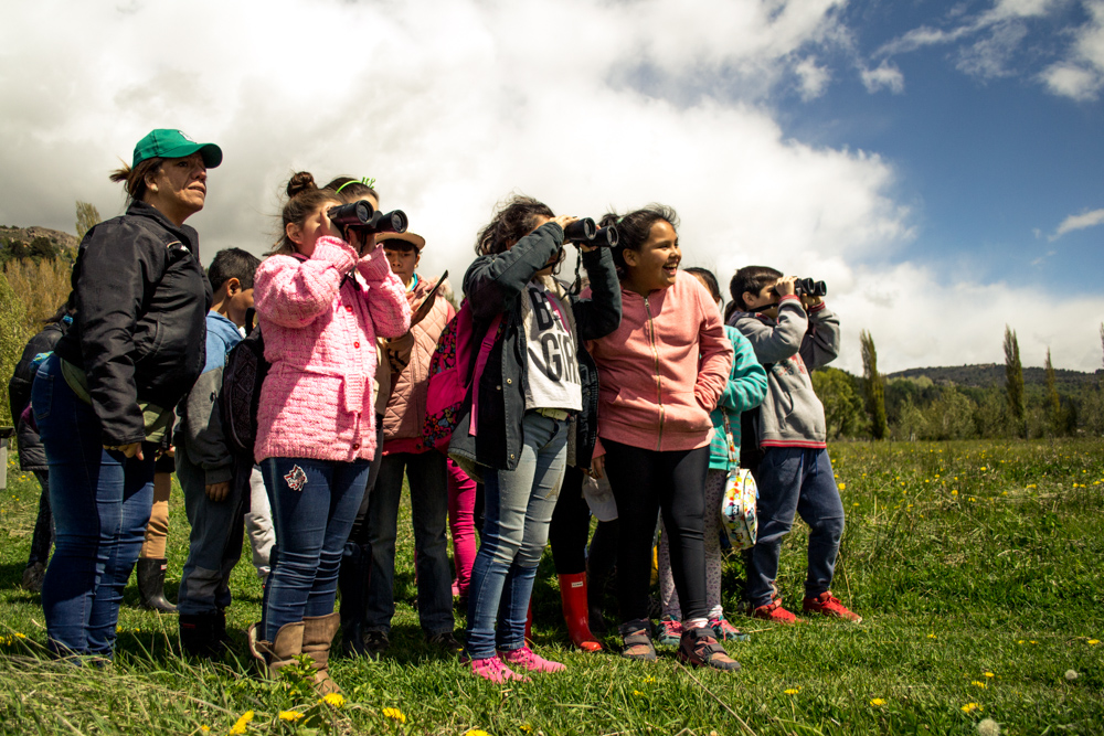 ¡Te invitamos a participar de nuestro Programa Educativo!