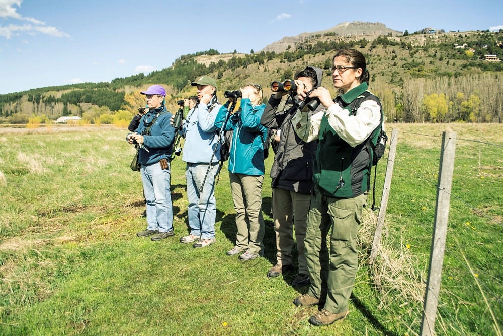 Resumen de la Primera Jornada de Observación de Aves