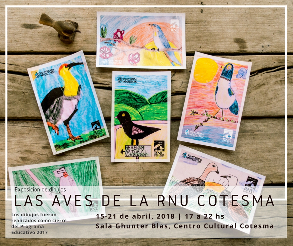 SE VIENE LA EXPO: LAS AVES DE LA RNU COTESMA