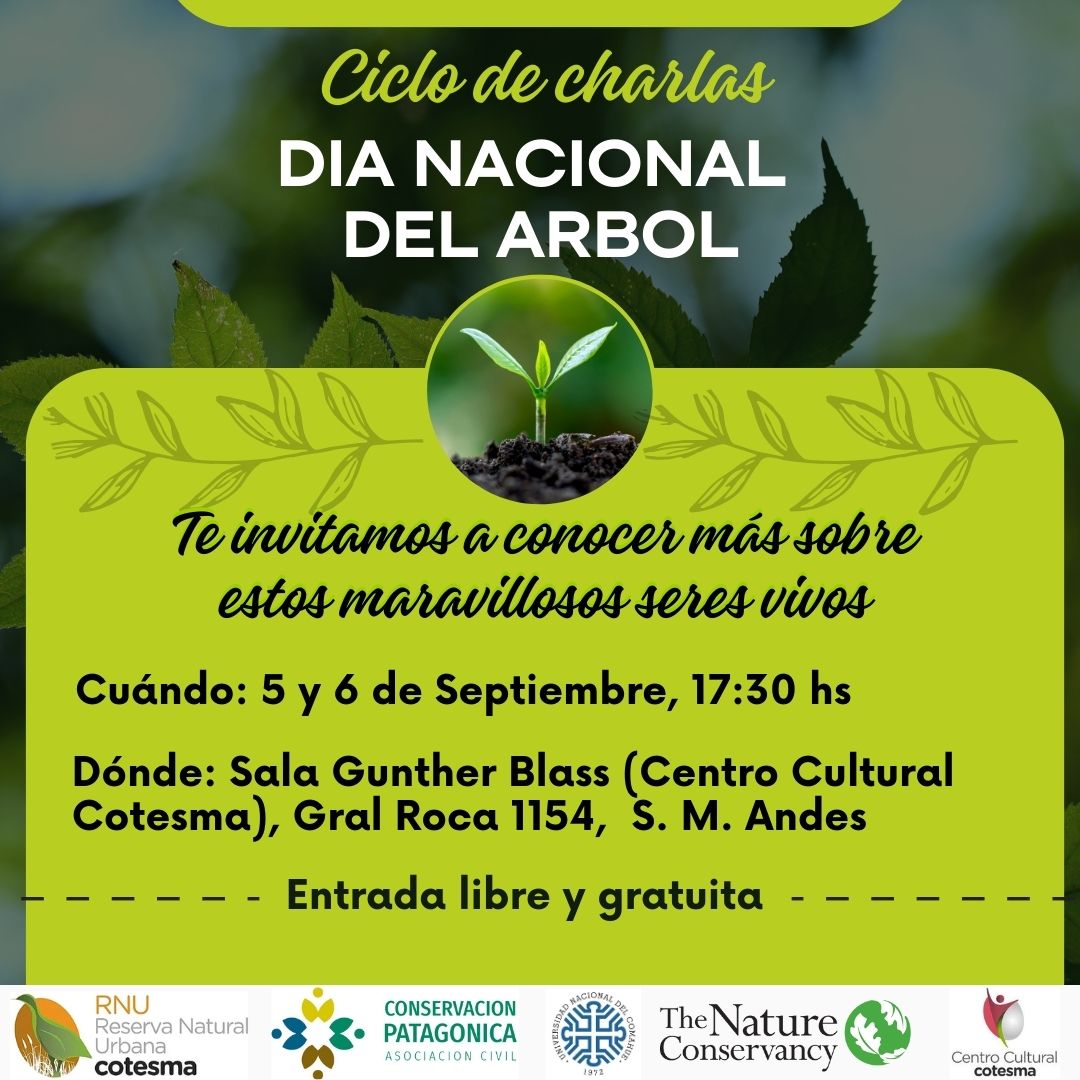 ¡Celebramos el Día Nacional del Árbol!