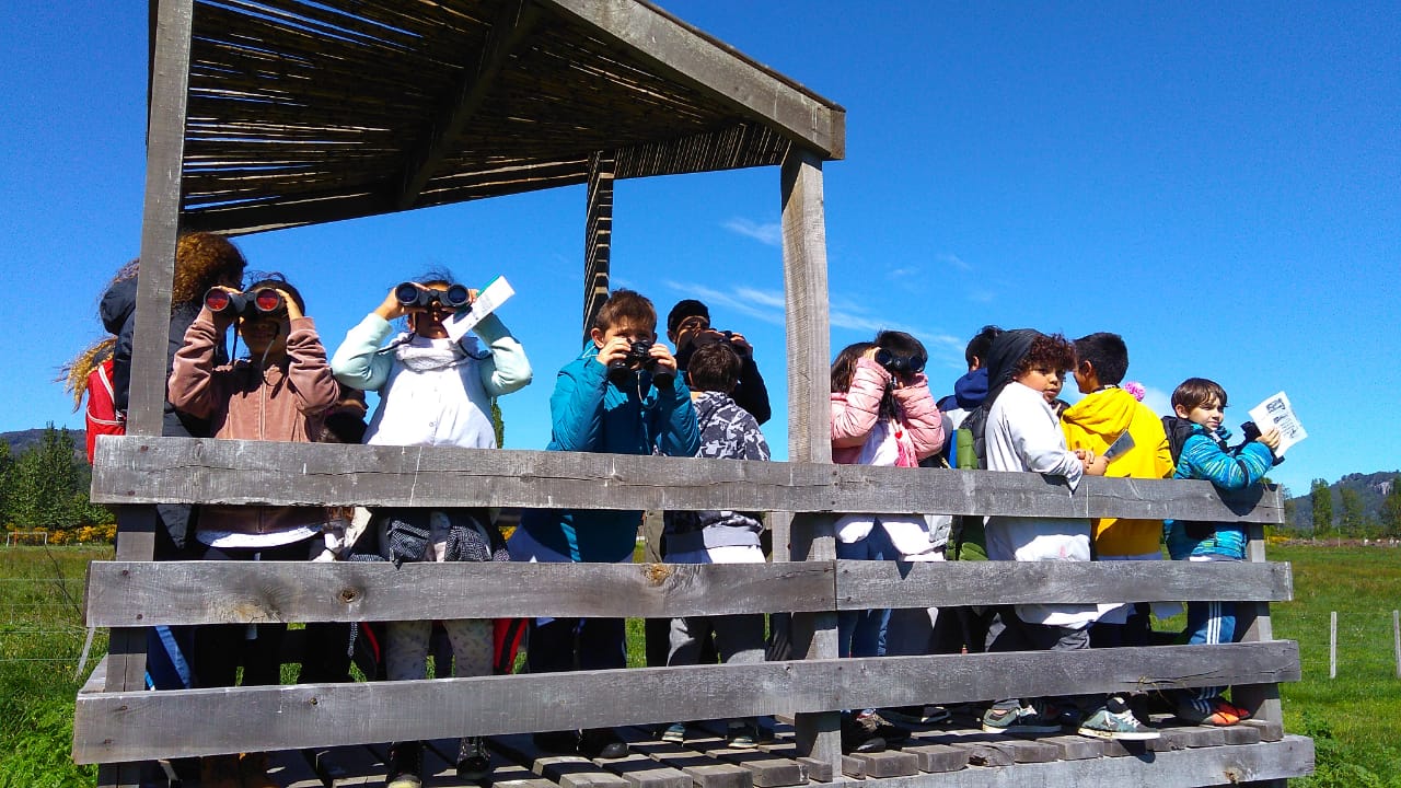 Gran cierre del Programa Educativo 2018