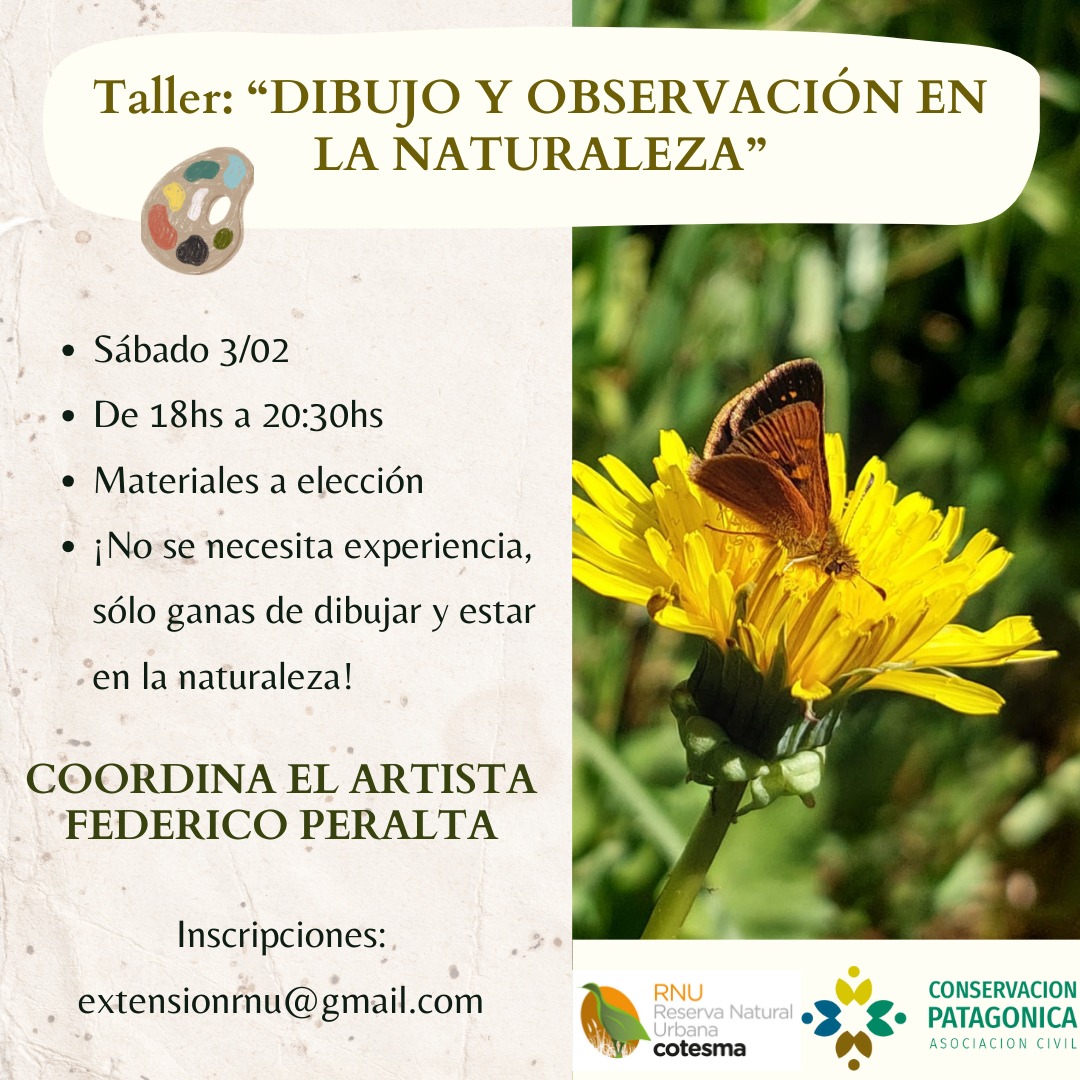 Taller “Dibujo y observación en la naturaleza”