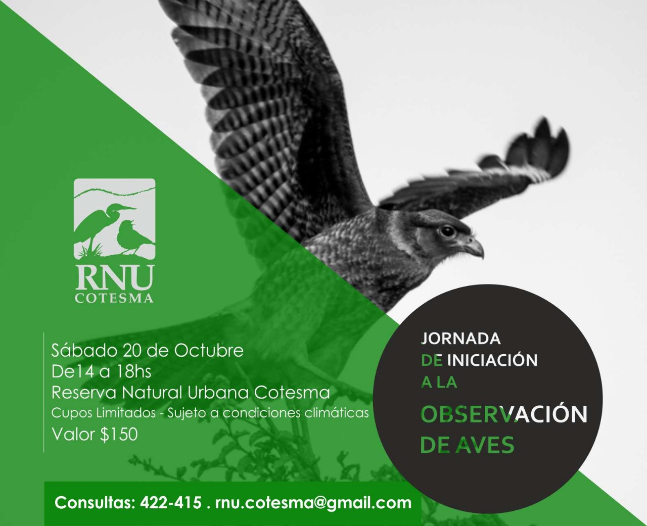 Jornada de Iniciación a la Observación de Aves