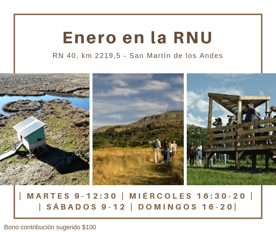 Disfrutá del verano en la RNU
