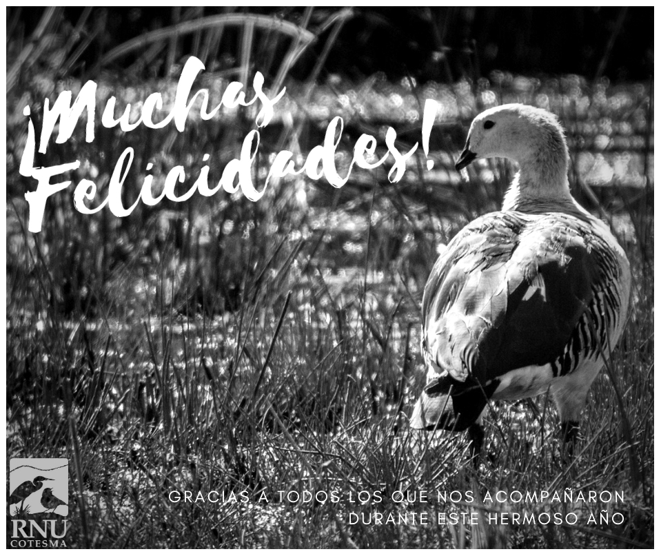 ¡Felicidades!