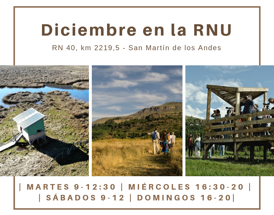 Temporada de verano en la RNU