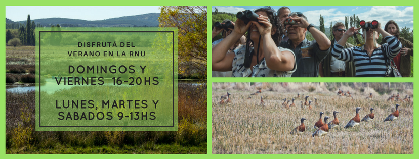 Horarios de Verano de la RNU