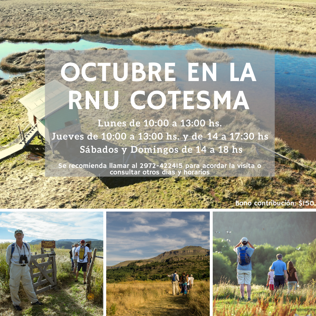 Octubre en la RNU