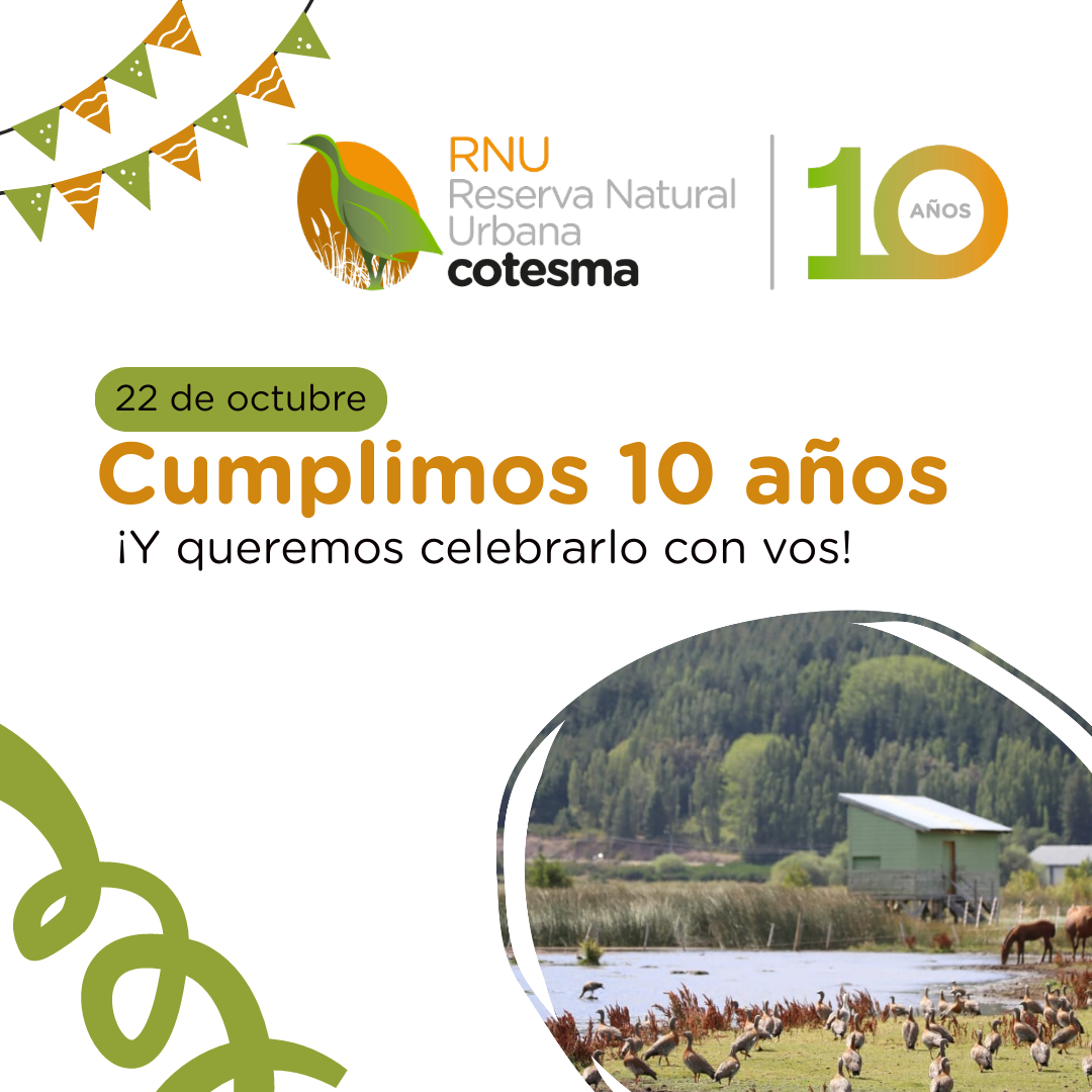 Mes Aniversario de la RNU Cotesma