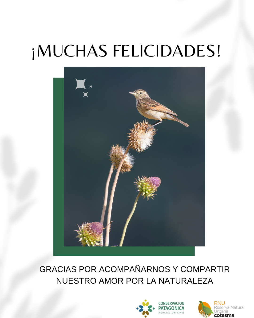 ¡Muchas felicidades!