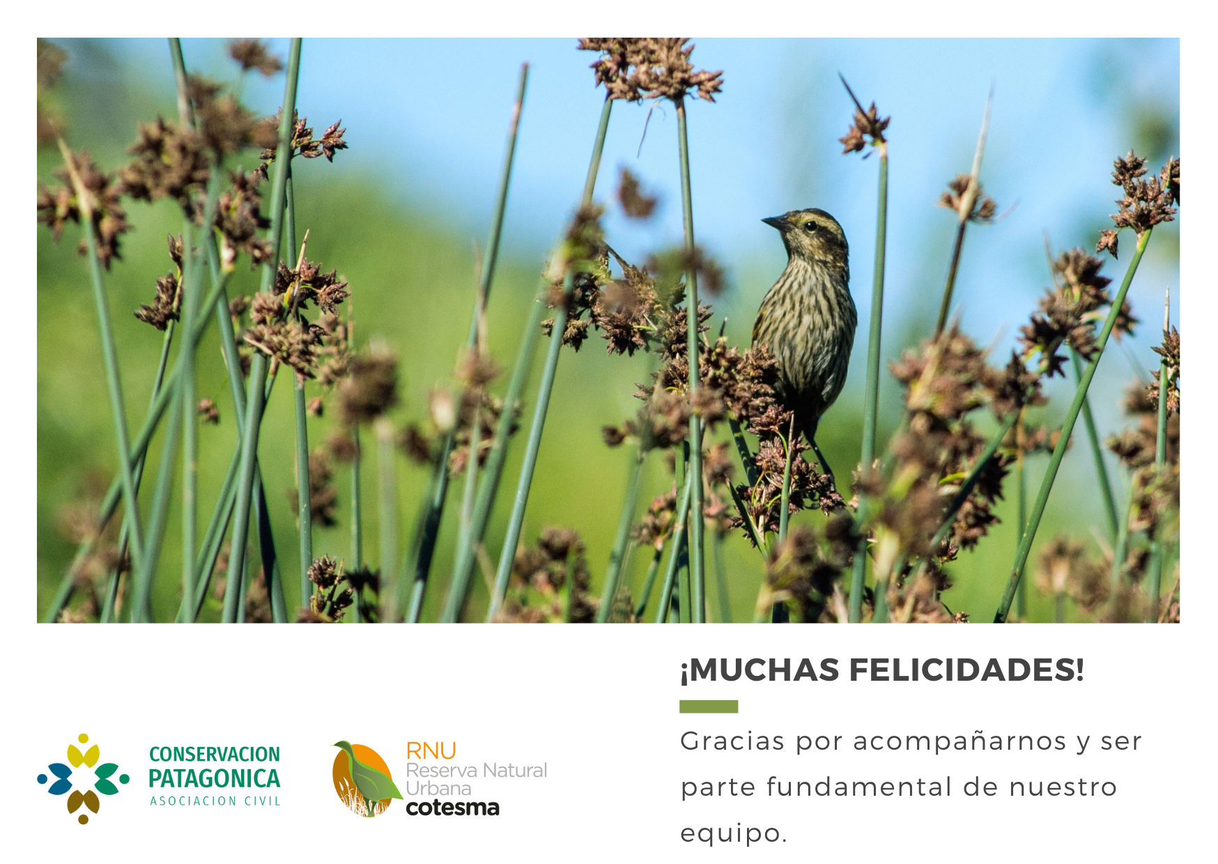 ¡Muchas Felicidades!