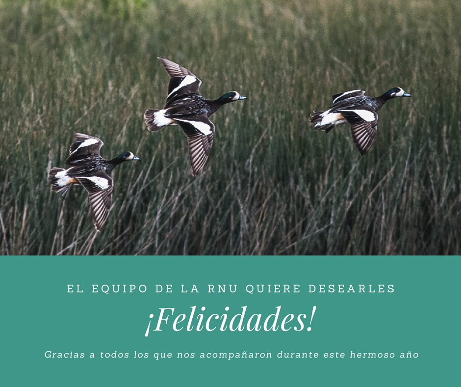 ¡Felicidades!