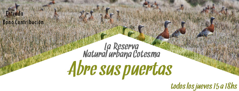 Vení a conocer la RNU!