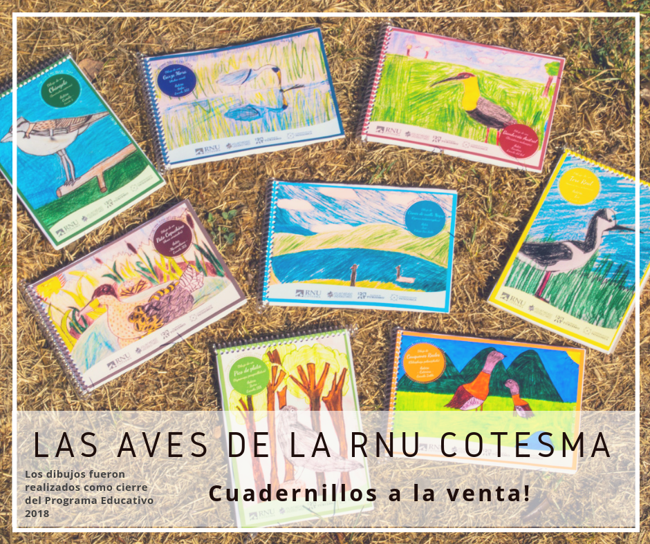 CUADERNILLOS DE LAS AVES DE LA RNU